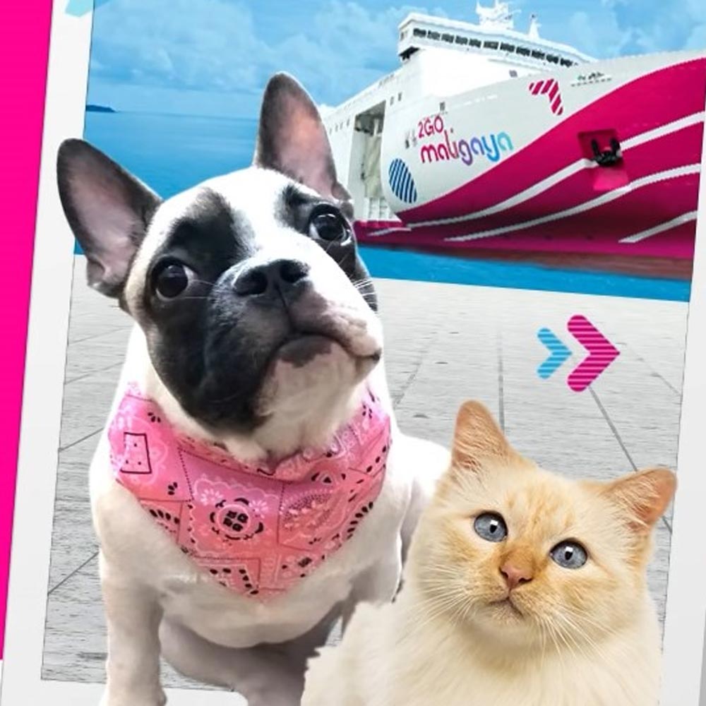 2go travel for pets